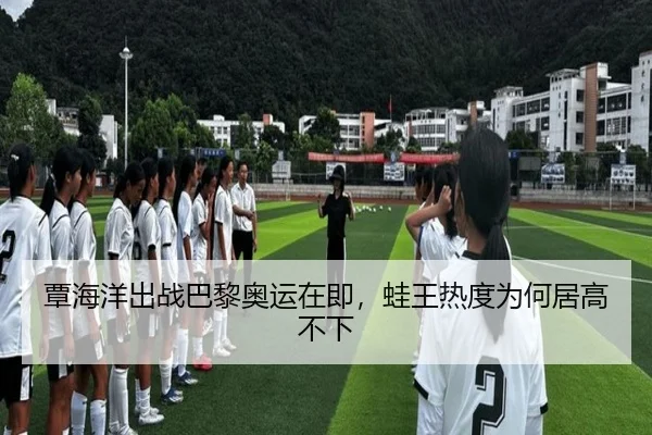 覃海洋出战巴黎奥运在即，蛙王热度为何居高不下 - rb88